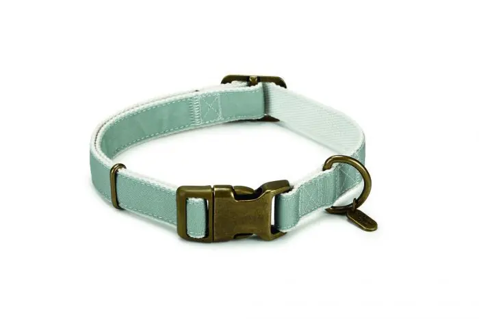 DBL Nylon Halsband Virante Mint