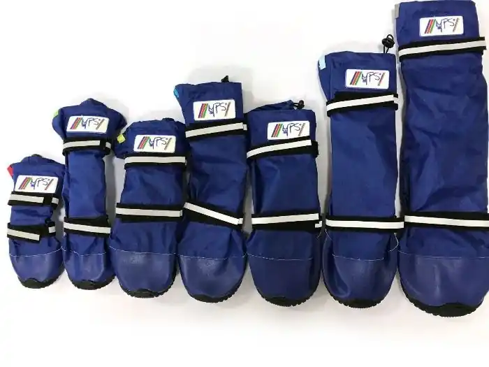 Medical PetS Boot Hond