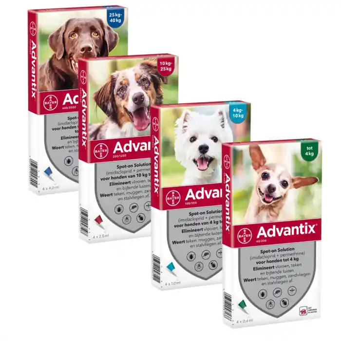 Advantix Spot-On Hond
