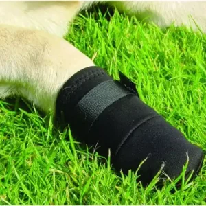 Beeztees Beschermingsschoen Zwart 2st