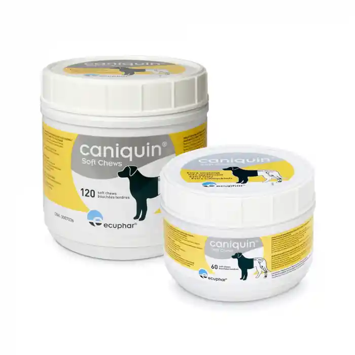 Caniquin Soft Chews Hond