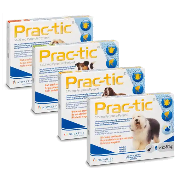 Prac-Tic Spot-On Hond
