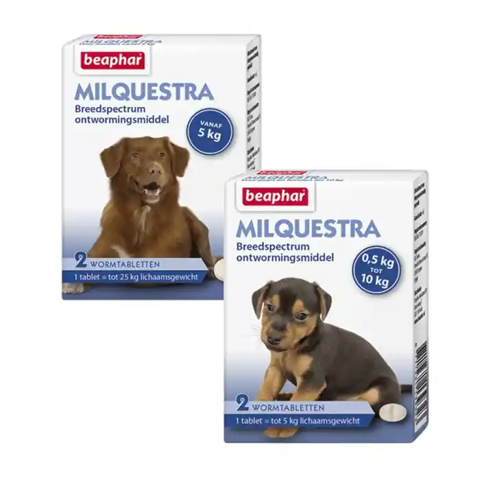 Beaphar Milquestra Hond
