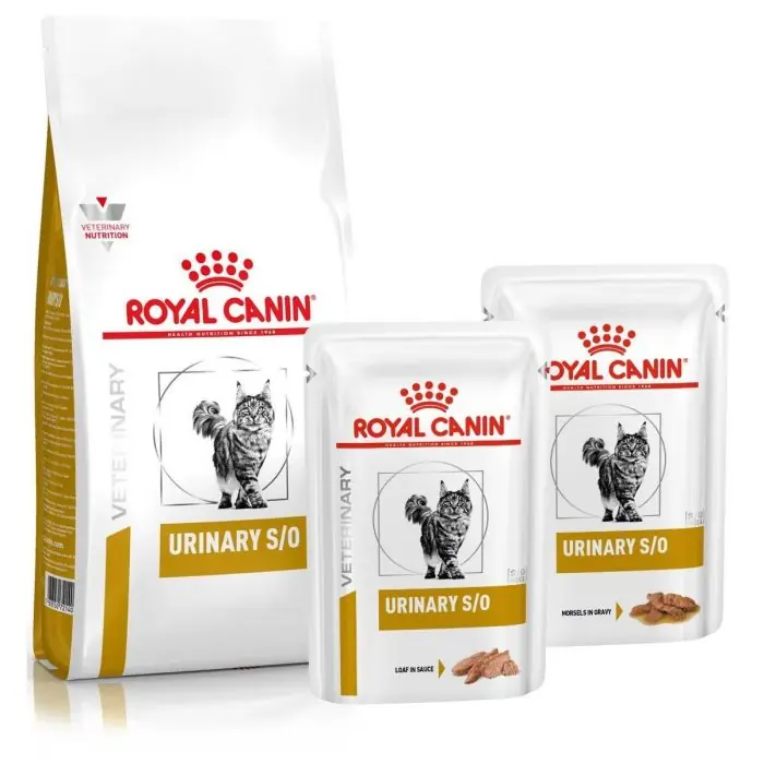 Royal Canin urinary S/O kattenvoer
