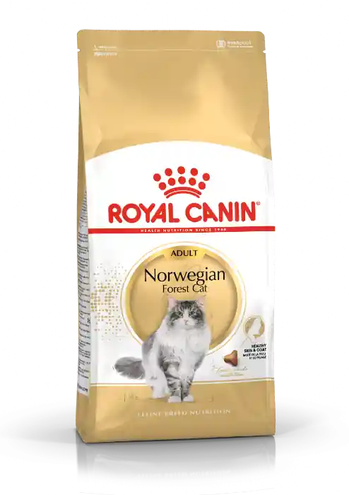 Royal Canin Norwegian Forest Cat Adult kattenvoer