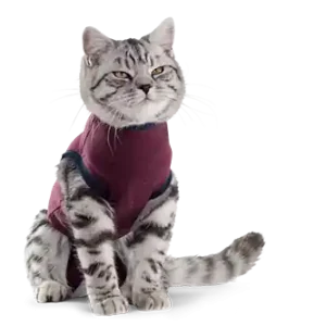 Jacketz Medical Body Suit kat