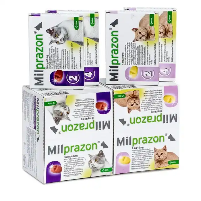 Milprazon ontworming kat