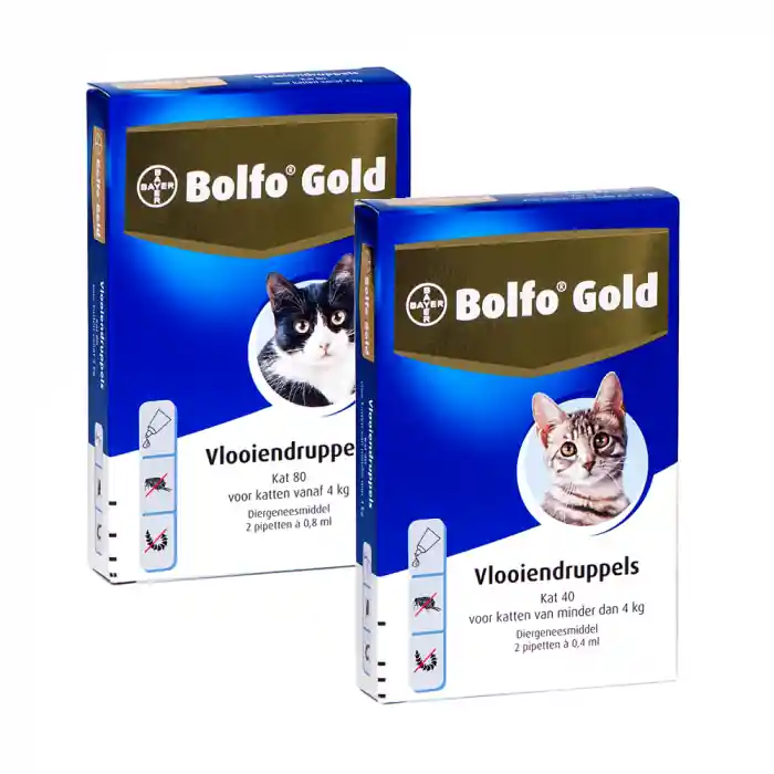 Bolfo Gold Kat