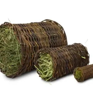 JR Farm wilgenhooitunnel