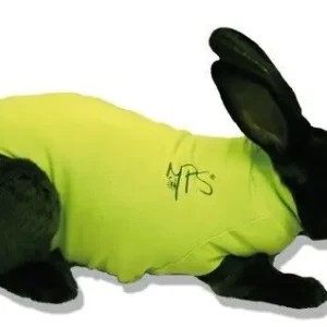 Medical Pet Shirt Konijn Groen