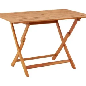 Tuintafel inklapbaar 120x70x75 cm massief eucalyptushout