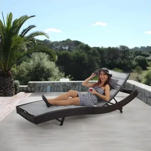 Ligstoel Phoenix,bruin gem??leerd, bekleding grijs