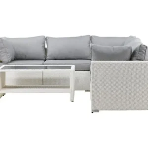 Amazon loungeset 2 delen grijs,wit.