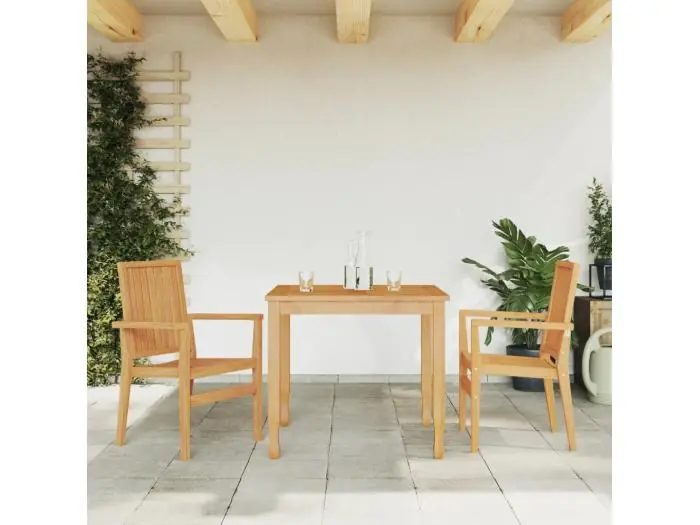 Stapelbare tuinstoelen set van 2 56,5x57,5x91 cm teakhout