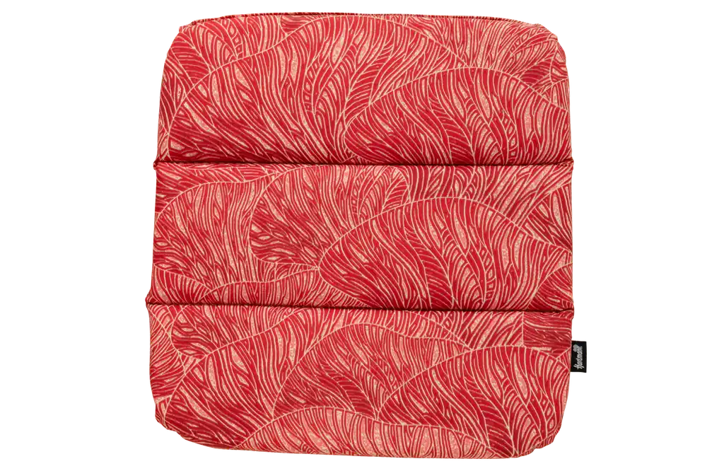 Joko Coral Zitkussen Delphine