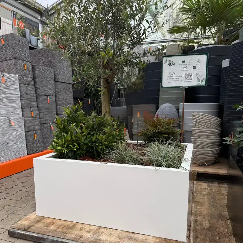 GLM plantenbak Amsterdam zonder bodem Wit 100x100x40cm