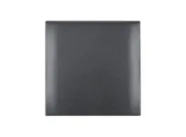 Berker integro 1 V afdekraam met klep - anthracite